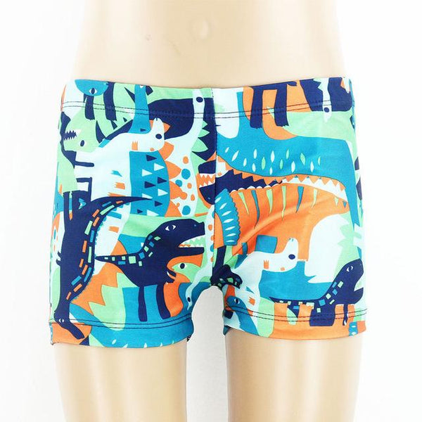 Novelty Print Swimming Trunks